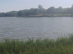 -南海子公园