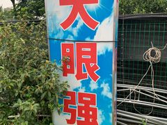 -大眼强五杯鹅·桑拿鸡煲