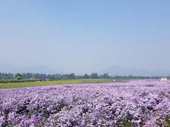 -十三陵山水雅园农家院
