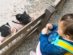 -前小桔亲子创意农场·草莓采摘·露营烧烤