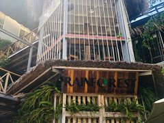 -Rainforest