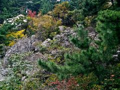 -崂山仰口游览区
