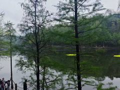 -重庆彩云湖湿地公园