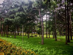 -吉林大学(前卫南区)