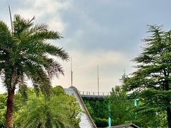 -杭州乐园