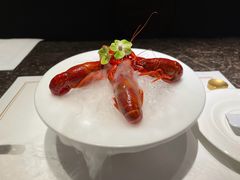 -觀芷隐轩