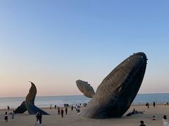 -养马岛旅游度假区