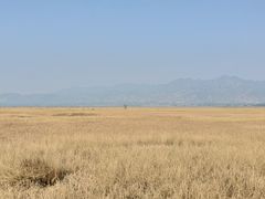 -野鸭湖国家湿地公园