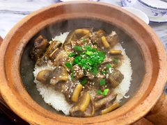 招牌黄鳝煲仔饭-红星光发煲仔饭(大石街店)