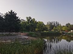 -大望京公园