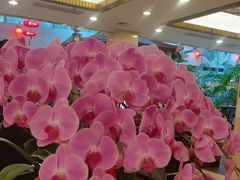 -顺峰·粤菜海鲜·早茶自助(阜成店)