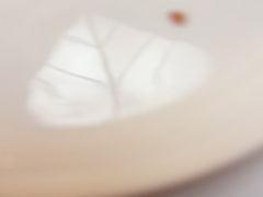 -眉州东坡(亚运村店)