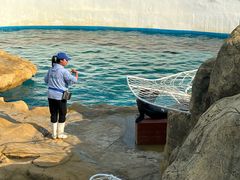 -南戴河国际娱乐中心