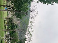 -火炉山森林公园