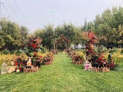 -醉库庄园·宴会厅·草坪婚礼场地
