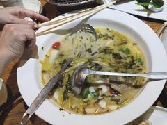 -花溪雨·森林餐厅(石基店)