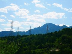 -白水寺森林公园
