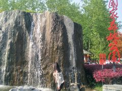 -合肥滨湖国家森林公园