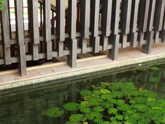 -三亚亚龙湾五号度假别墅酒店