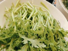 -蒙都43°9羊火锅·赤峰美食(桥北店)