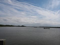 -呼兰河口湿地公园