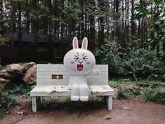 -日照海滨国家森林公园