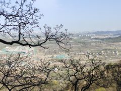 -北京鹫峰国家森林公园