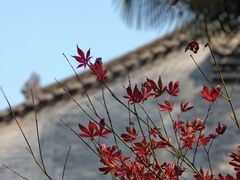 -万寿八仙宫