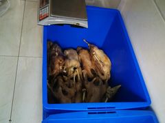 -正宗忘不了老鹅(梅岭店)