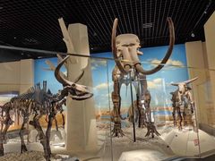 -国家自然博物馆