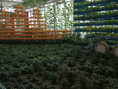 -兰陵国家农业公园