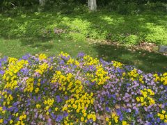 -苏州河梦清园环保主题公园