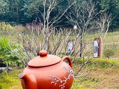 -广州市白云山风景名胜区
