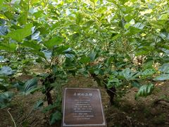 -苏州丝绸博物馆