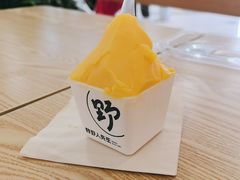 -野人先生Gelato(上海长宁龙之梦店)