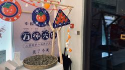 -三菩提科技美肤SPA