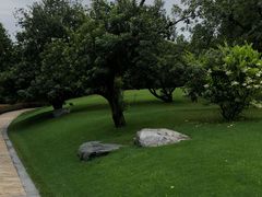 -逸廊大堂吧-下午茶·简餐-千岛湖自由洲际殿