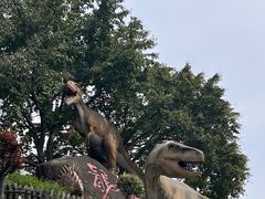 -自贡恐龙博物馆