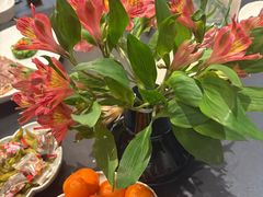 -江南雅厨(李公堤店)