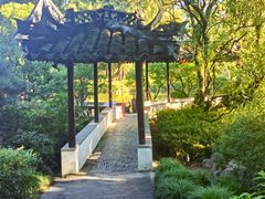 -上海醉白池公园
