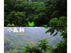 -火炉山森林公园