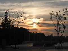 -四川大学(华西校区)