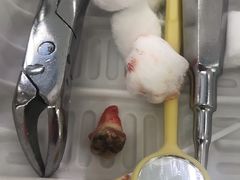 -上海市杨浦区牙病防治所