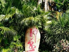 -三亚珠江南田温泉度假区