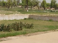 -汉长安城未央宫国家考古遗址公园