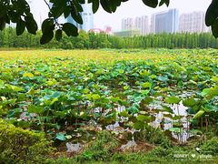 -艾溪湖湿地公园