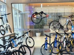 -xds喜德盛自行车(滴水湖店)