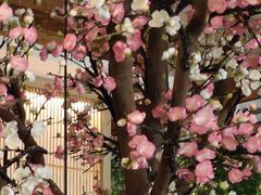 -蜜桃餐厅·伴山(湖滨商业街店)