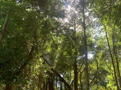 -深圳湾公园(南山区)