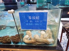 -都市阳光海鲜城(青山湖店)